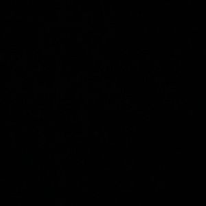 Meet your Posher, Cynthia